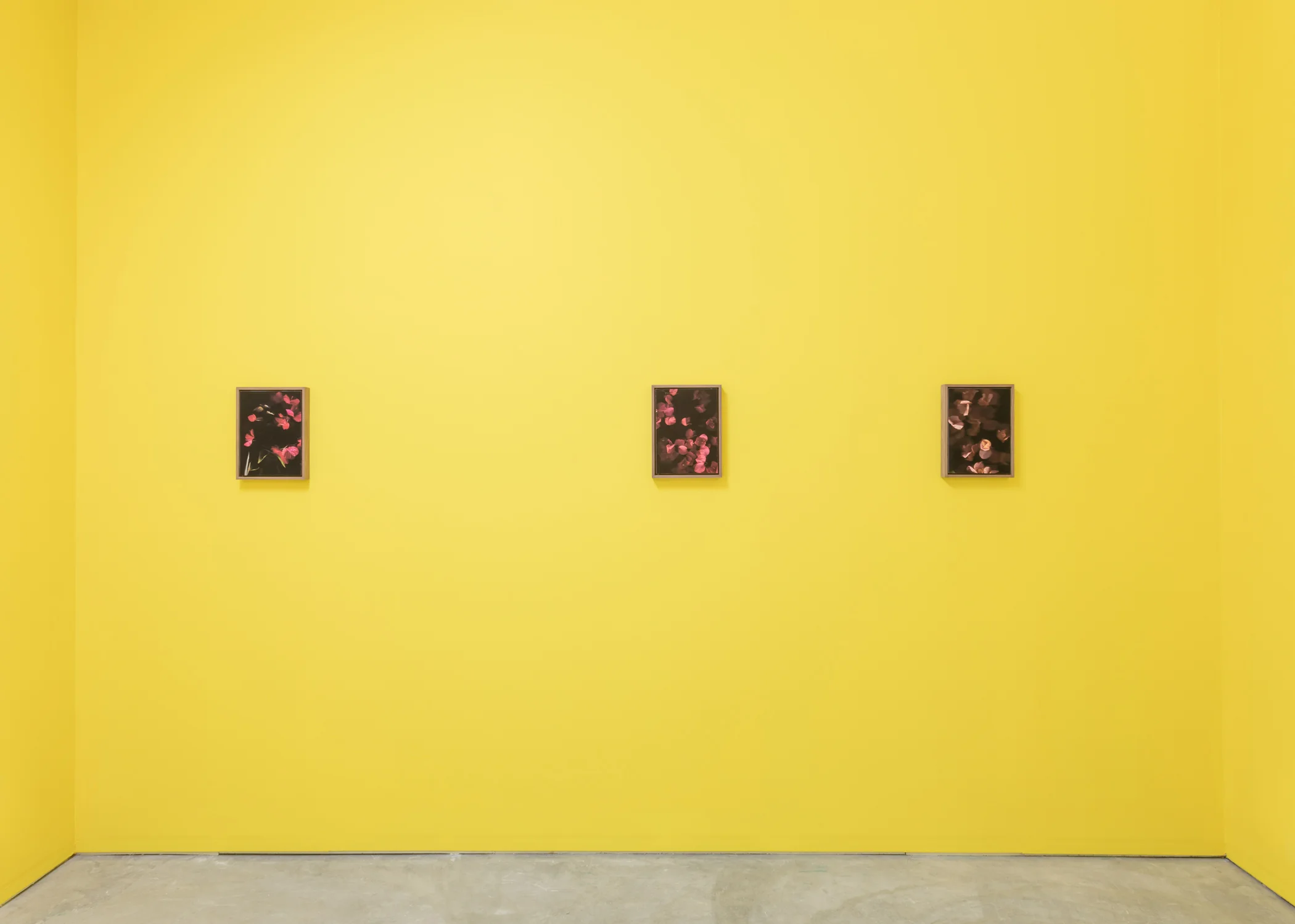 River_Erik_Benjamins_Forgetting_The_Words_Installation_06.jpg
