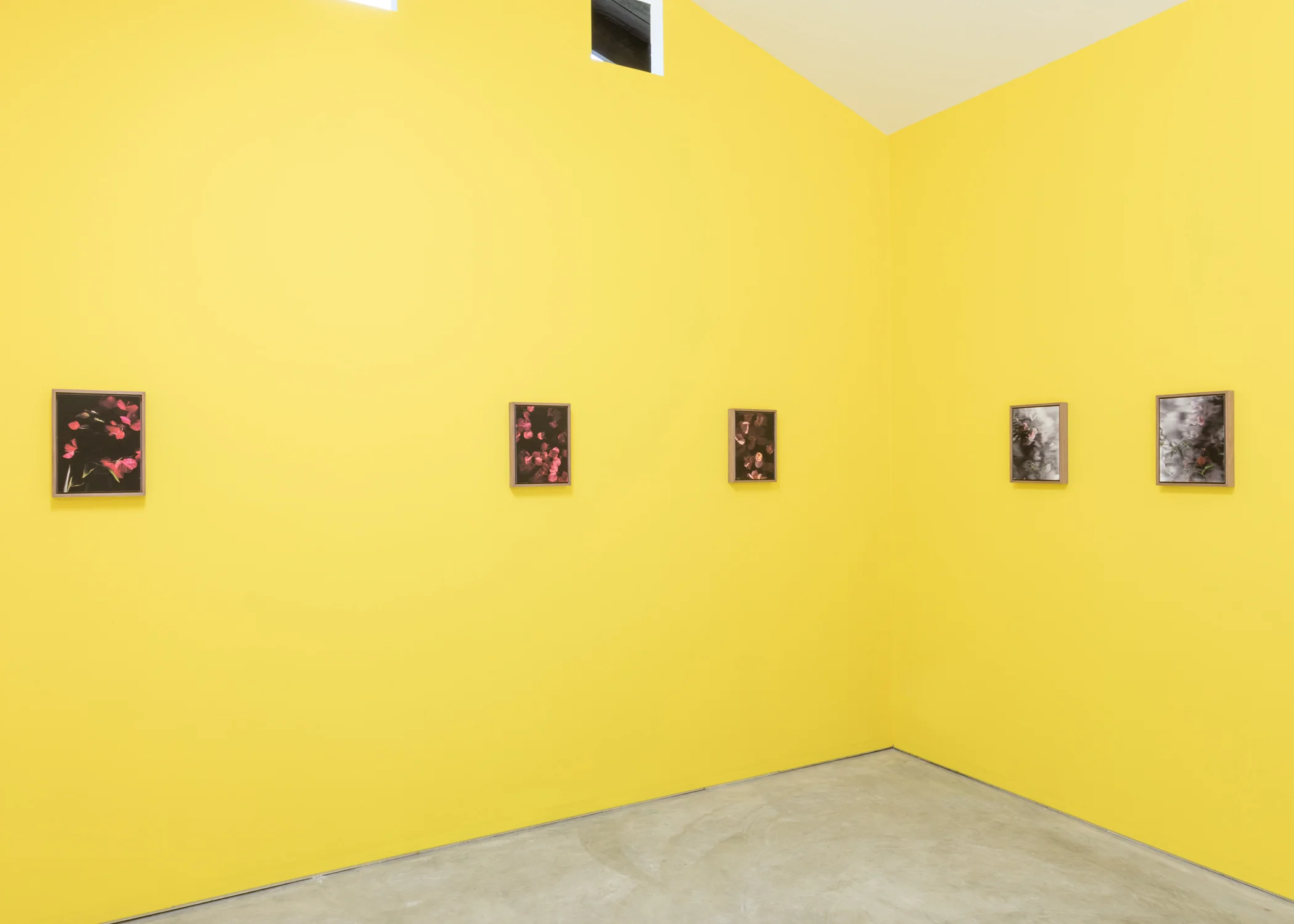 River_Erik_Benjamins_Forgetting_The_Words_Installation_08.jpg