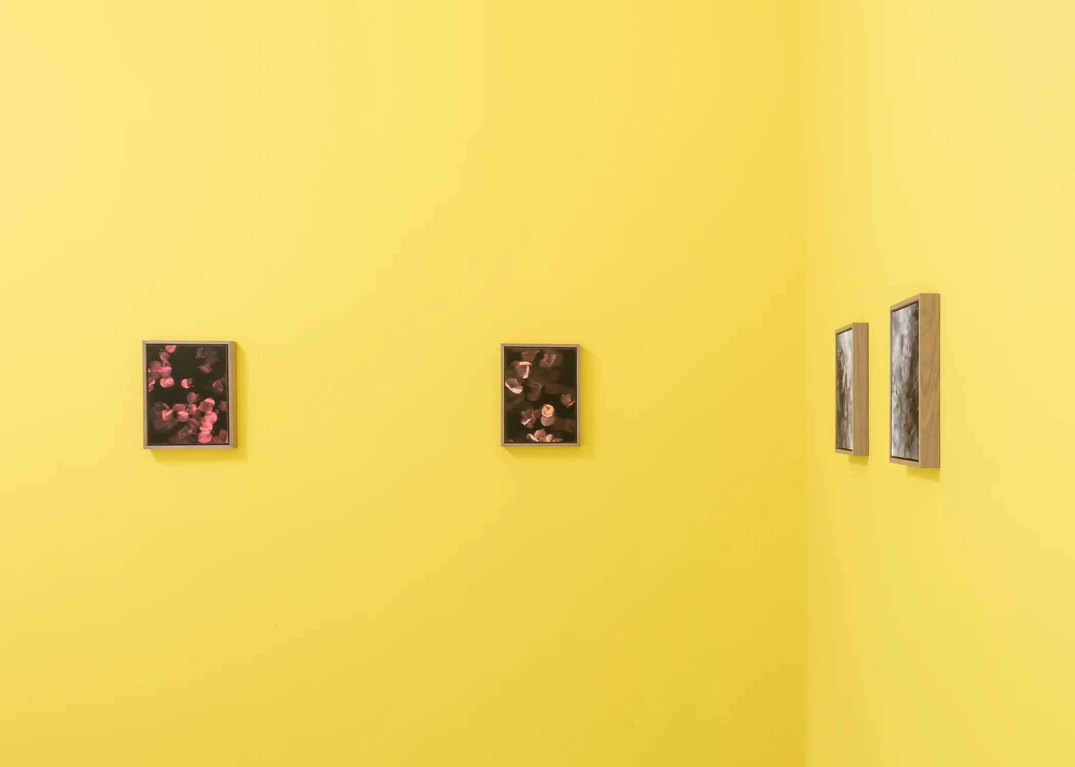 River_Erik_Benjamins_Forgetting_The_Words_Installation_11.jpg