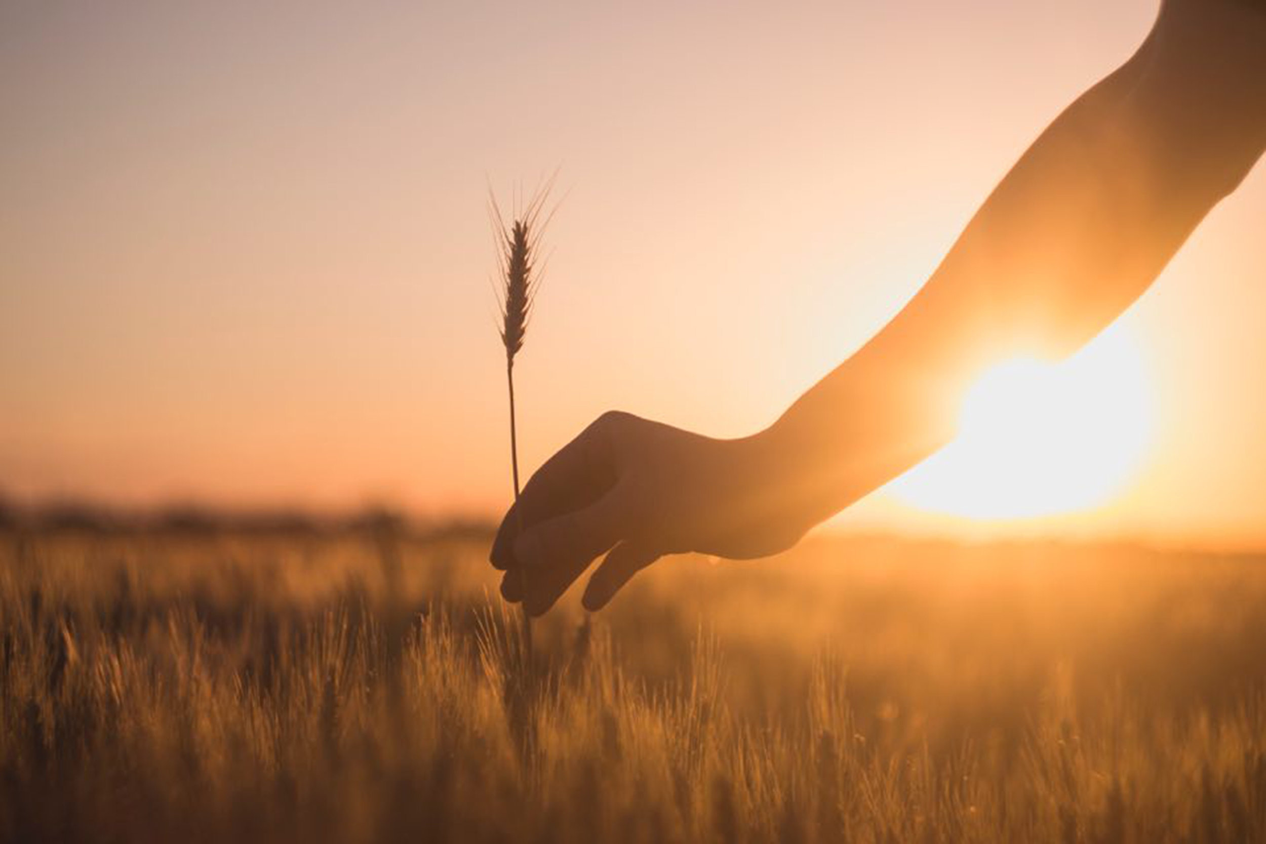 Image uploaded from iOS.jpg