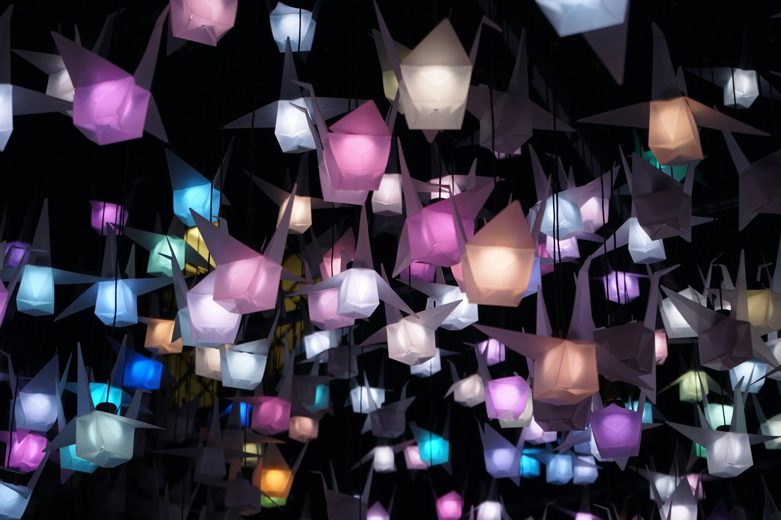 Funding For Impact In Action: How I Did It