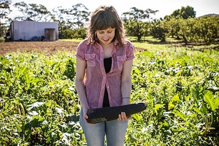 &ldquo;At a very crucial stage, the three-year funding enabled the Youth Food Movement to redefine their business model and build their core foundations from which they could scale their social impact on the Australian agriculture sector. Today, @yfm