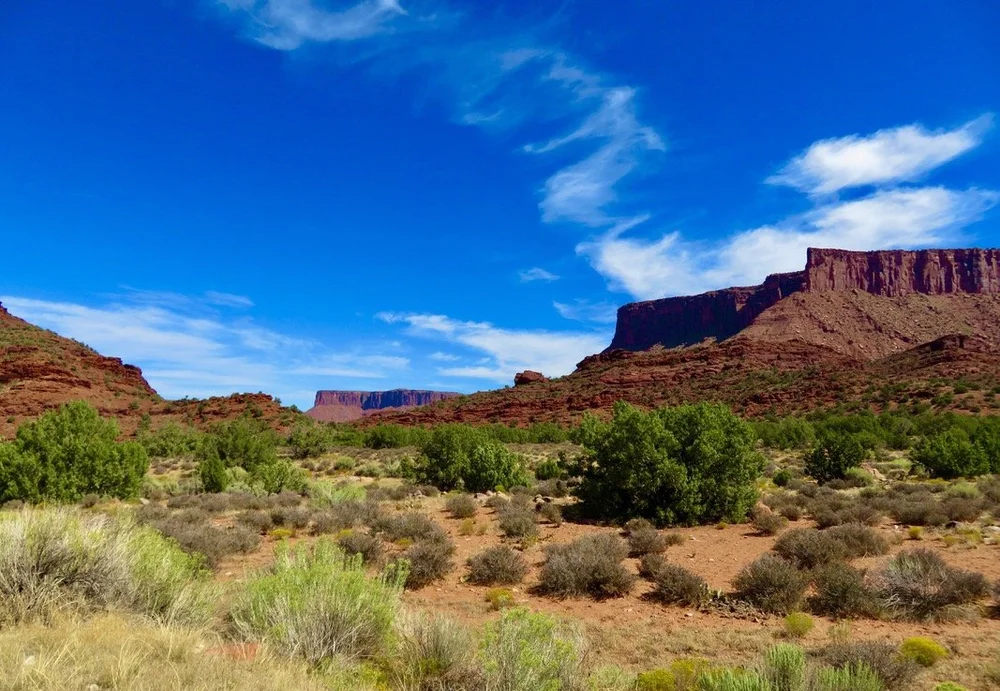 Skinny-Tire-Events-Moab-Century-Tour-23_38 Large.jpeg