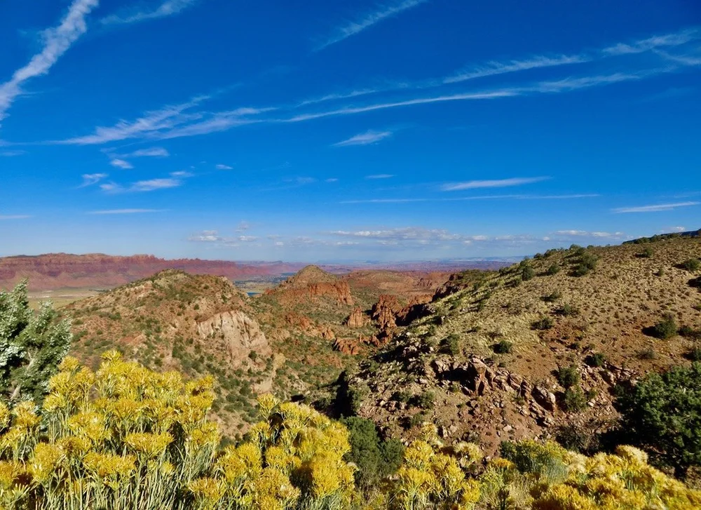 Skinny-Tire-Events-Moab-Century-Tour-23_63 Large.jpeg