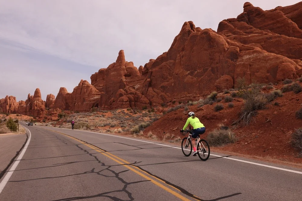 2024_STF_00007 Large.jpeg