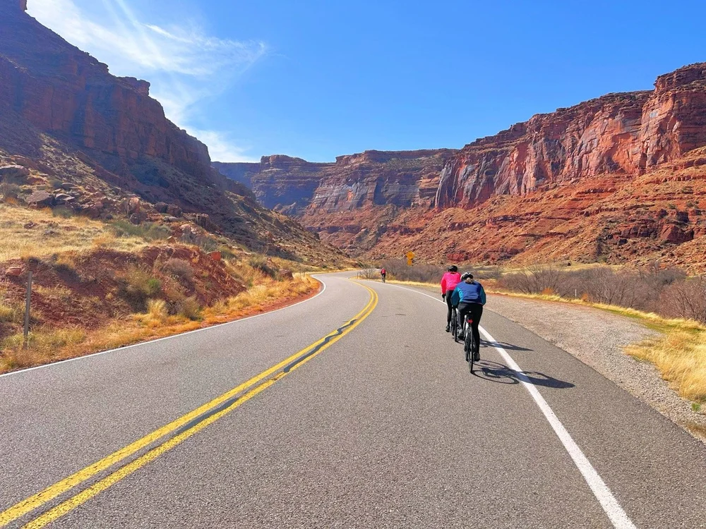 2024_STF_00008 Large.jpeg