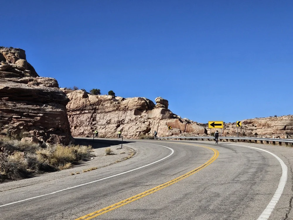 2024_STF_00021 Large.jpeg