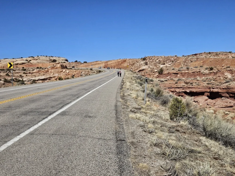 2024_STF_00022 Large.jpeg