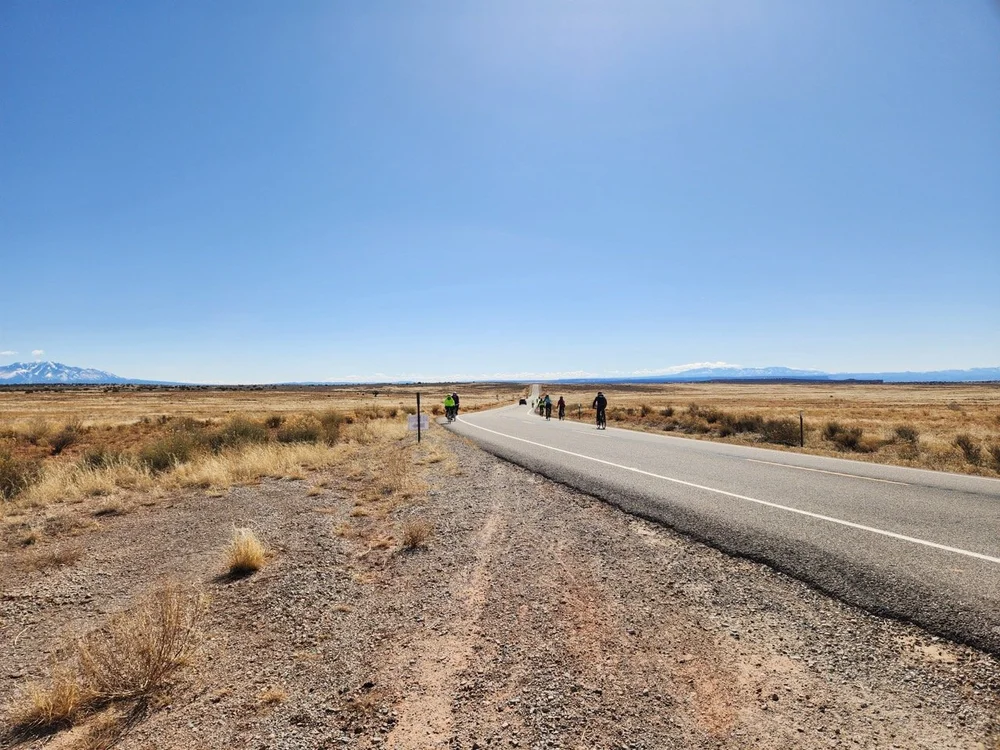 2024_STF_00030 Large.jpeg