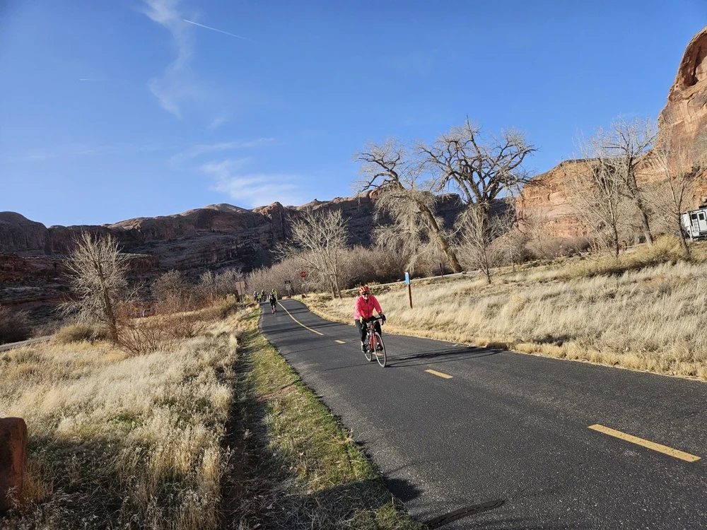 2024_STF_00042 Large.jpeg