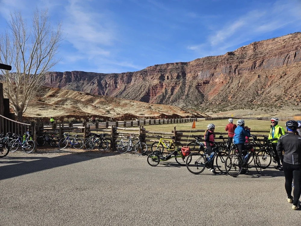 2024_STF_00046 Large.jpeg