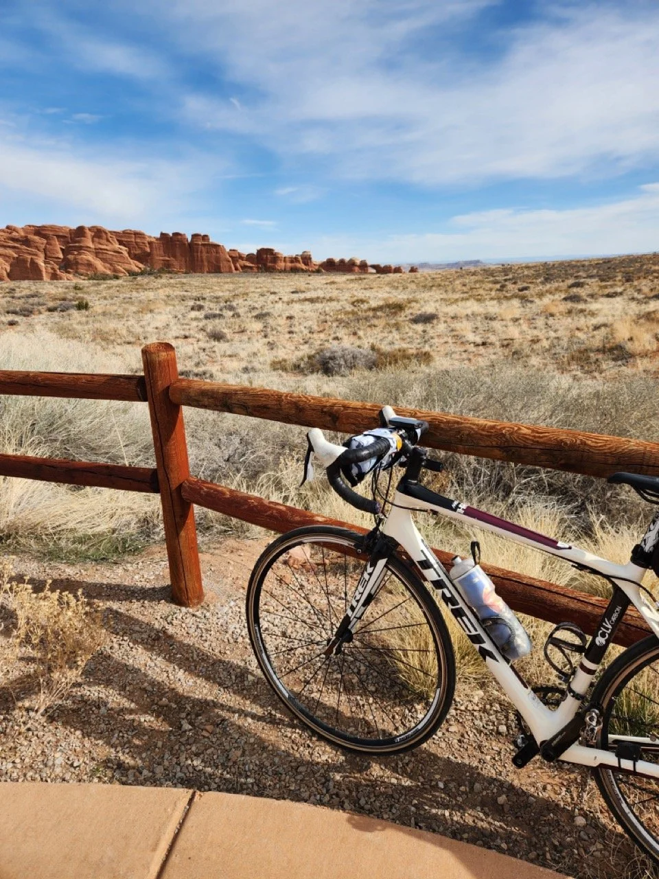 2024_STF_00060 Large.jpeg