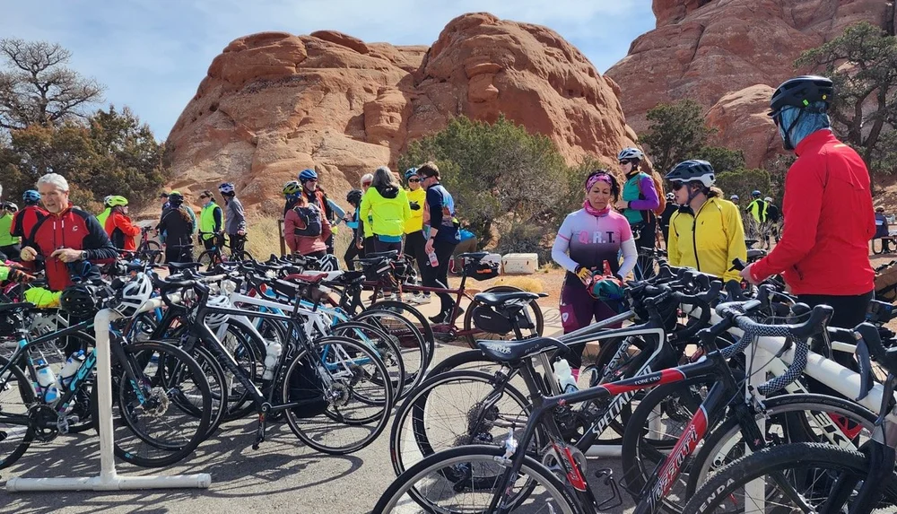 2024_STF_00061 Large.jpeg