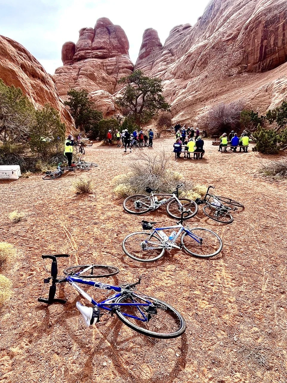 2024_STF_00082 Large.jpeg