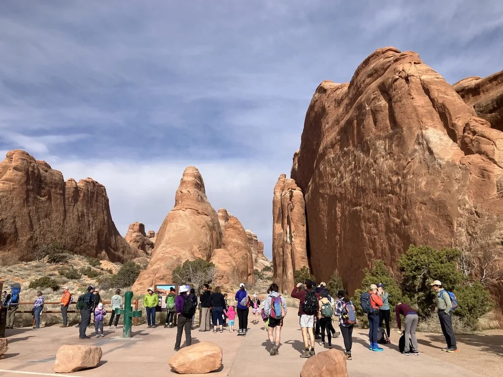 2024_STF_00098 Large.jpeg