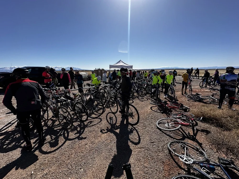 2024_STF_00133 Large.jpeg