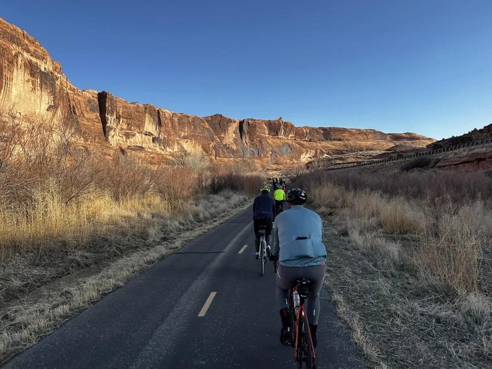 2024_STF_00135 Large.jpeg