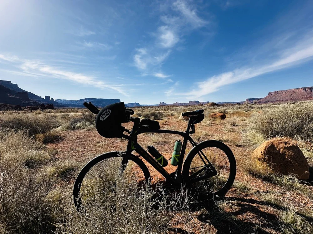 2024_STF_00137 Large.jpeg