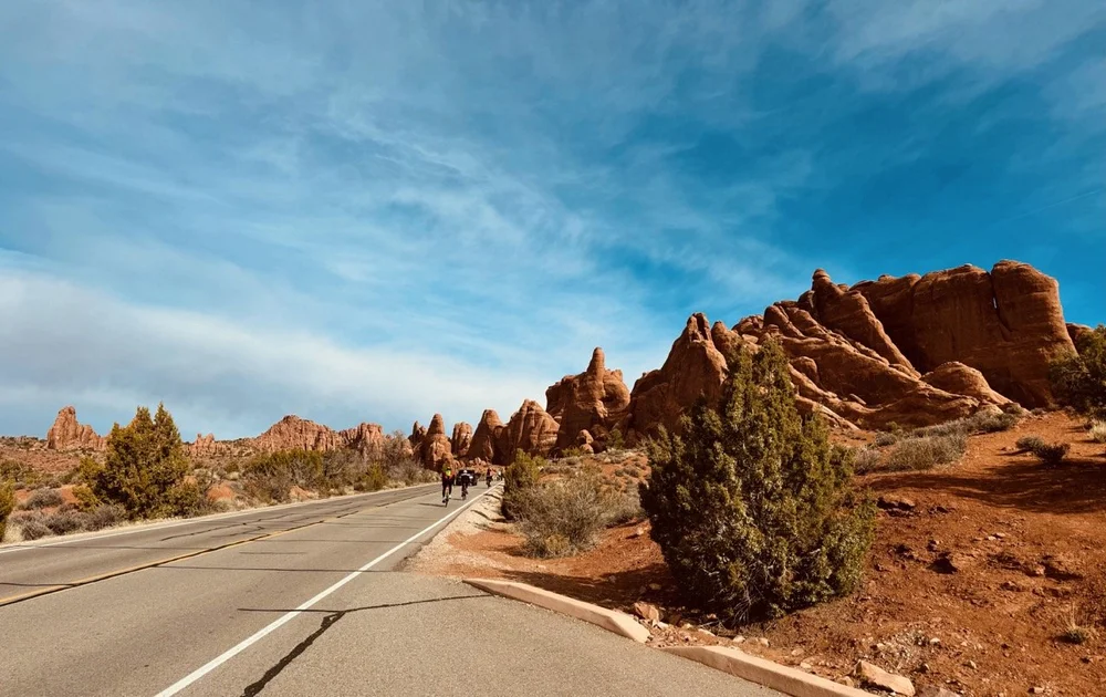 2024_STF_00149 Large.jpeg