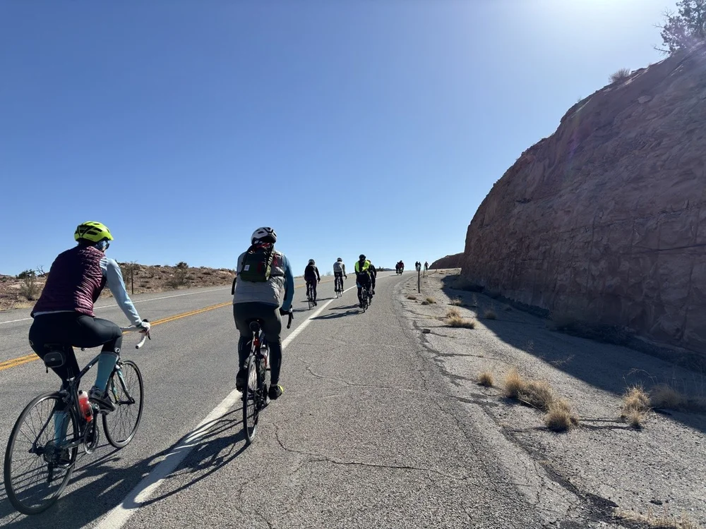 2024_STF_00151 Large.jpeg