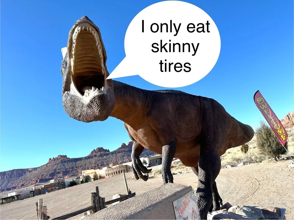 2024_STF_00159 Large.jpeg