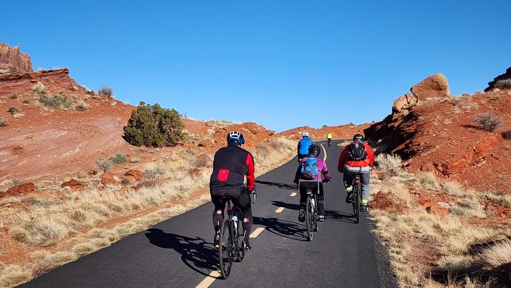 2024_STF_00167 Large.jpeg