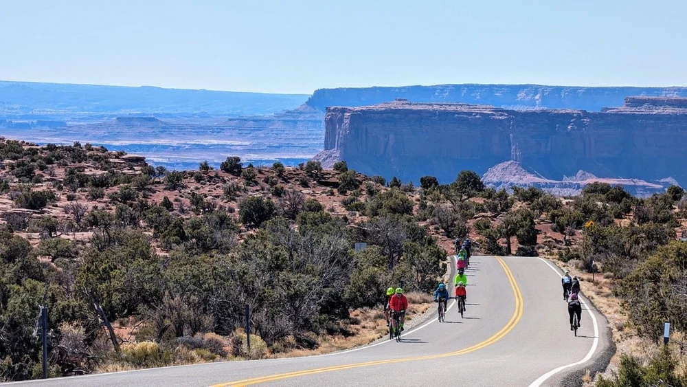 2024_STF_00176 Large.jpeg