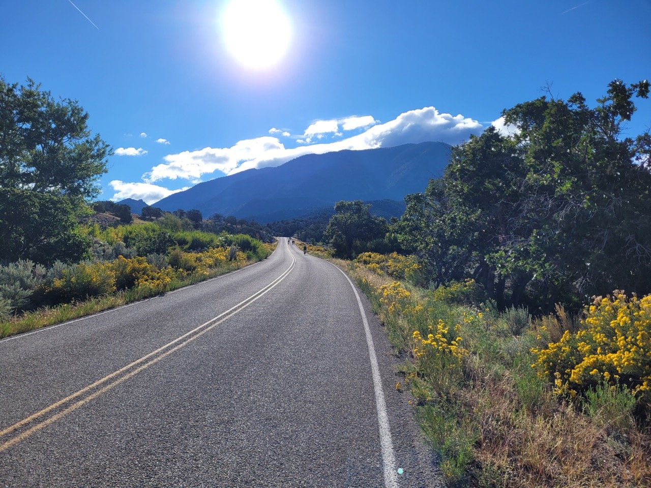 24MCT_Skinny-Tire-Events_00004 Large.jpeg