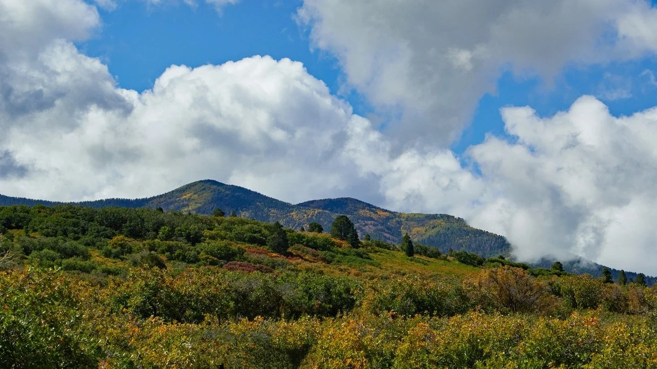 24MCT_Skinny-Tire-Events_00016 Large.jpeg