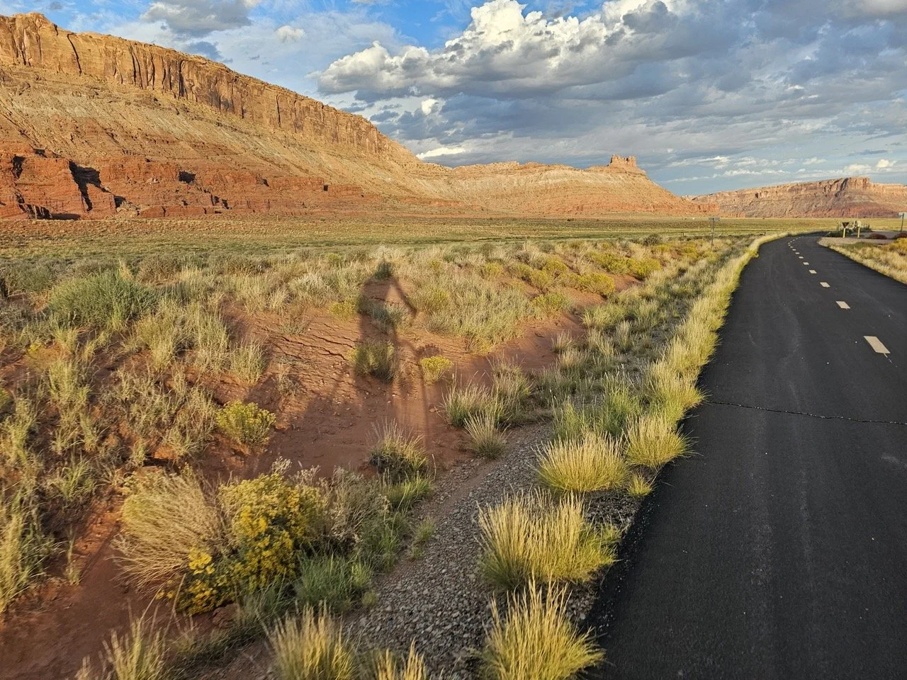 24MCT_Skinny-Tire-Events_00023 Large.jpeg