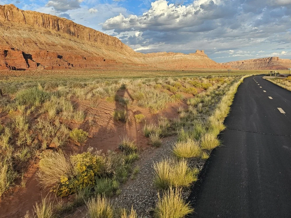 24MCT_Skinny-Tire-Events_00023 Large.jpeg