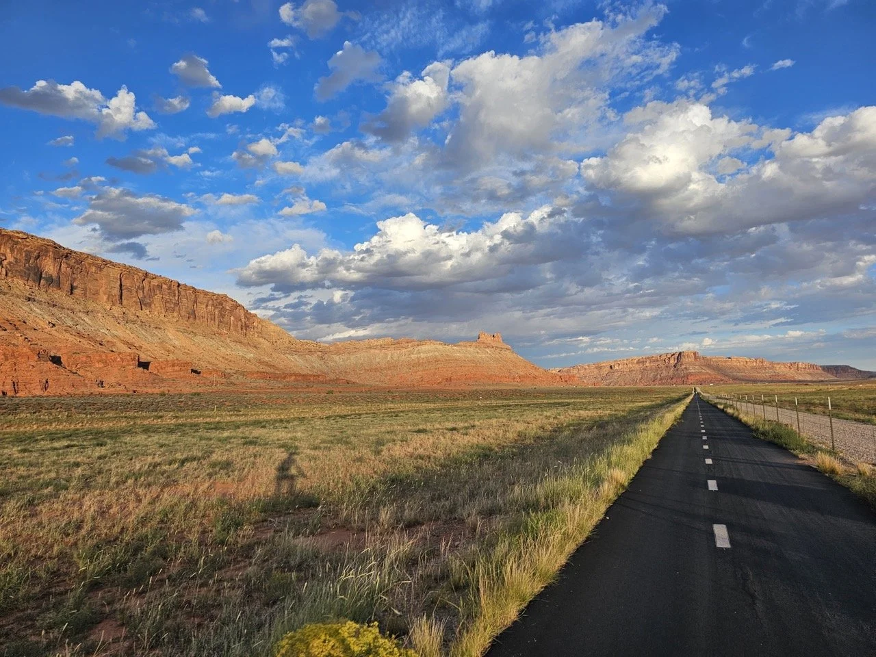 24MCT_Skinny-Tire-Events_00025 Large.jpeg