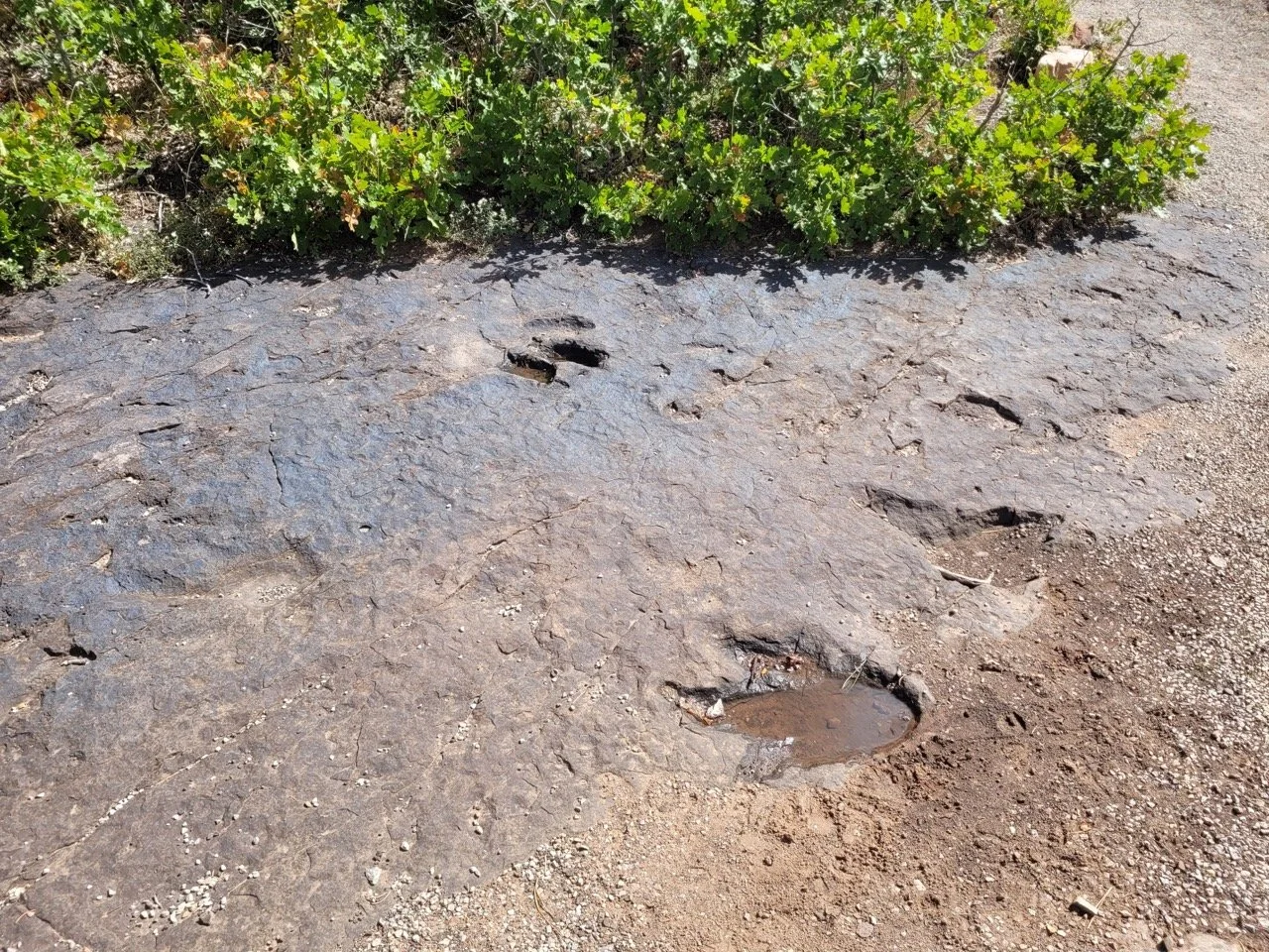 24MCT_Skinny-Tire-Events_00046 Large.jpeg