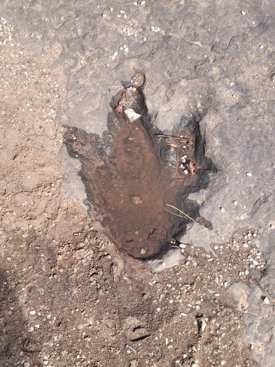 24MCT_Skinny-Tire-Events_00049 Large.jpeg