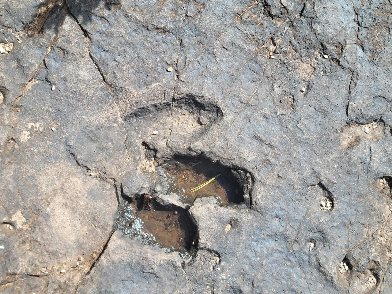 24MCT_Skinny-Tire-Events_00050 Large.jpeg