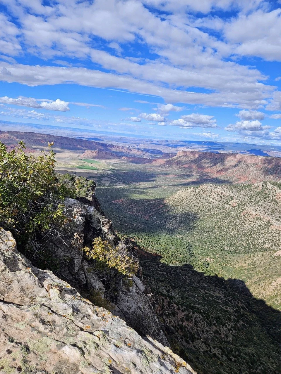 24MCT_Skinny-Tire-Events_00053 Large.jpeg