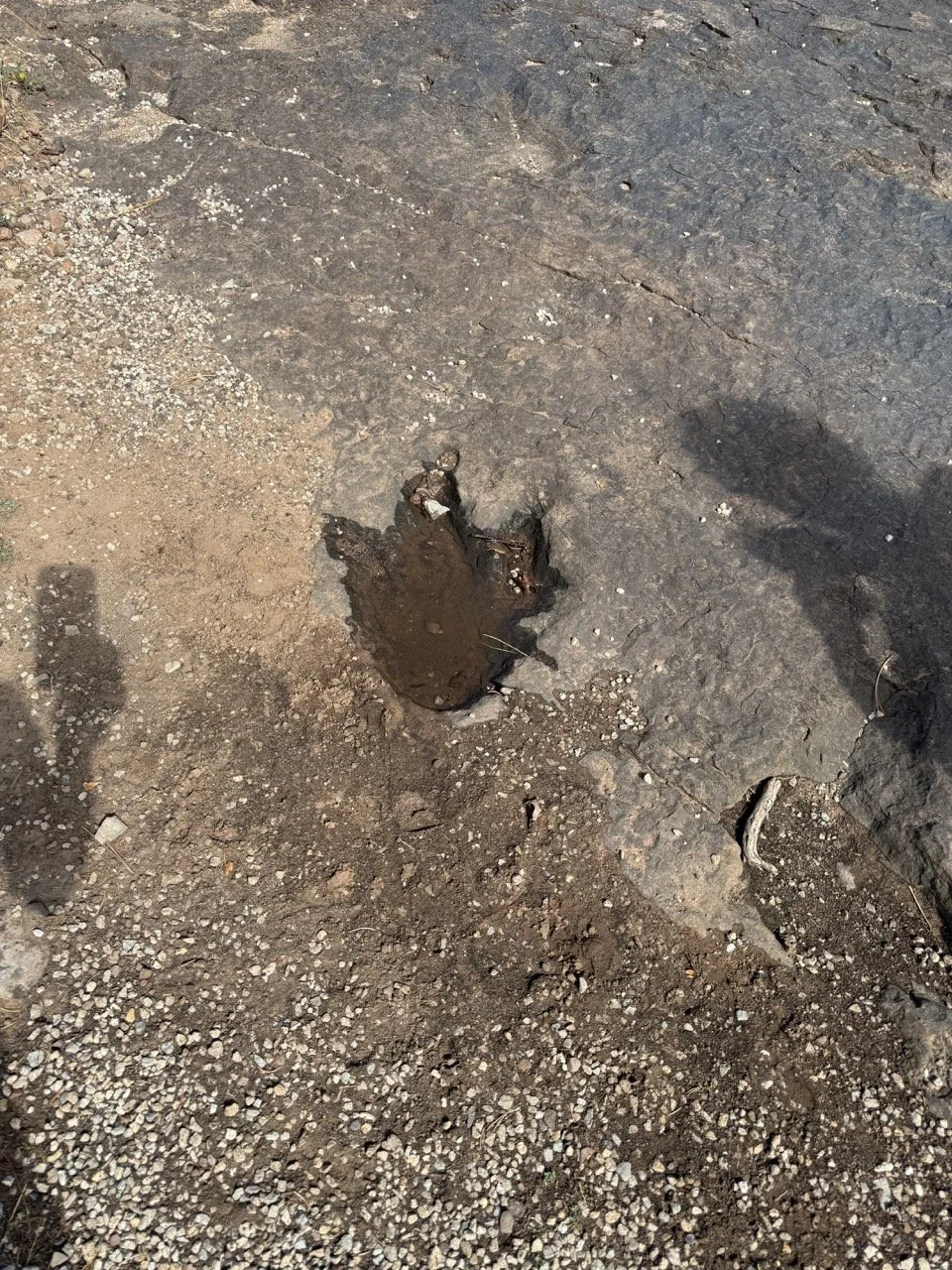 24MCT_Skinny-Tire-Events_00093 Large.jpeg