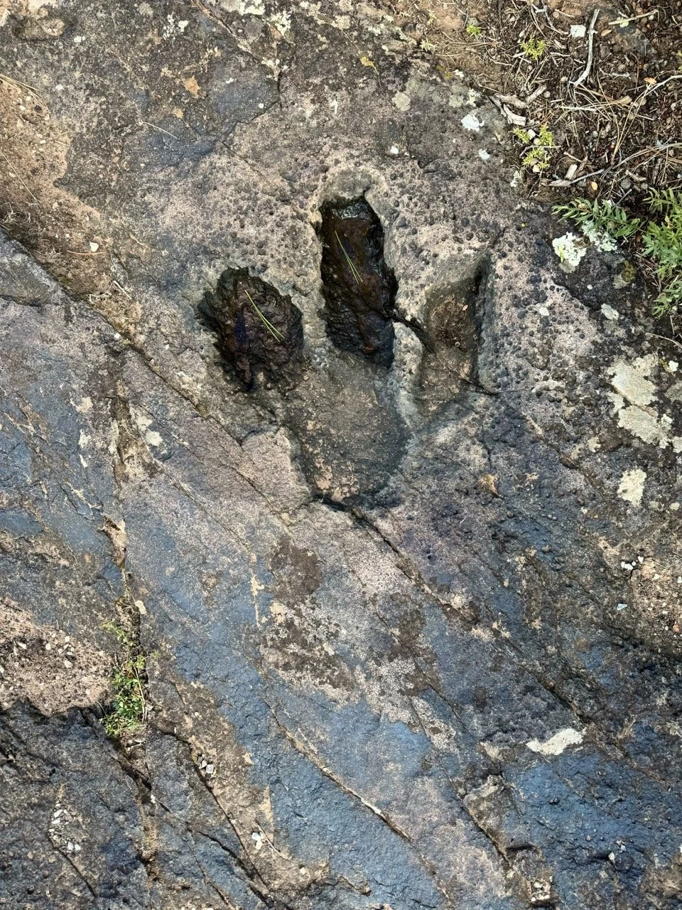 24MCT_Skinny-Tire-Events_00094 Large.jpeg