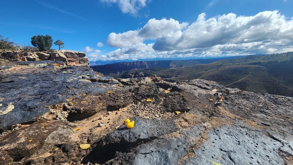 24MCT_Skinny-Tire-Events_00163 Large.jpeg