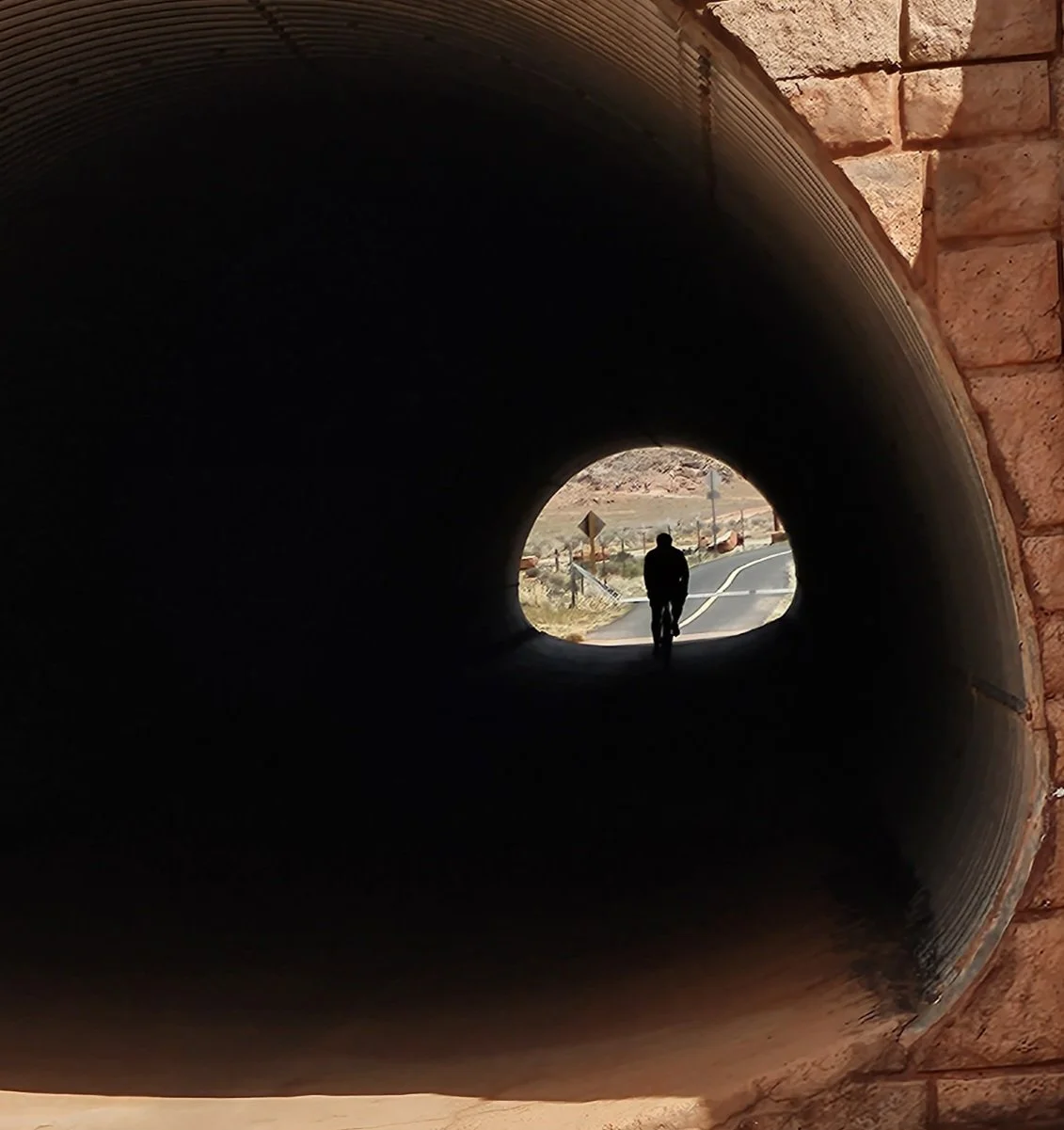 20260314_134918 Susan Powell.jpg