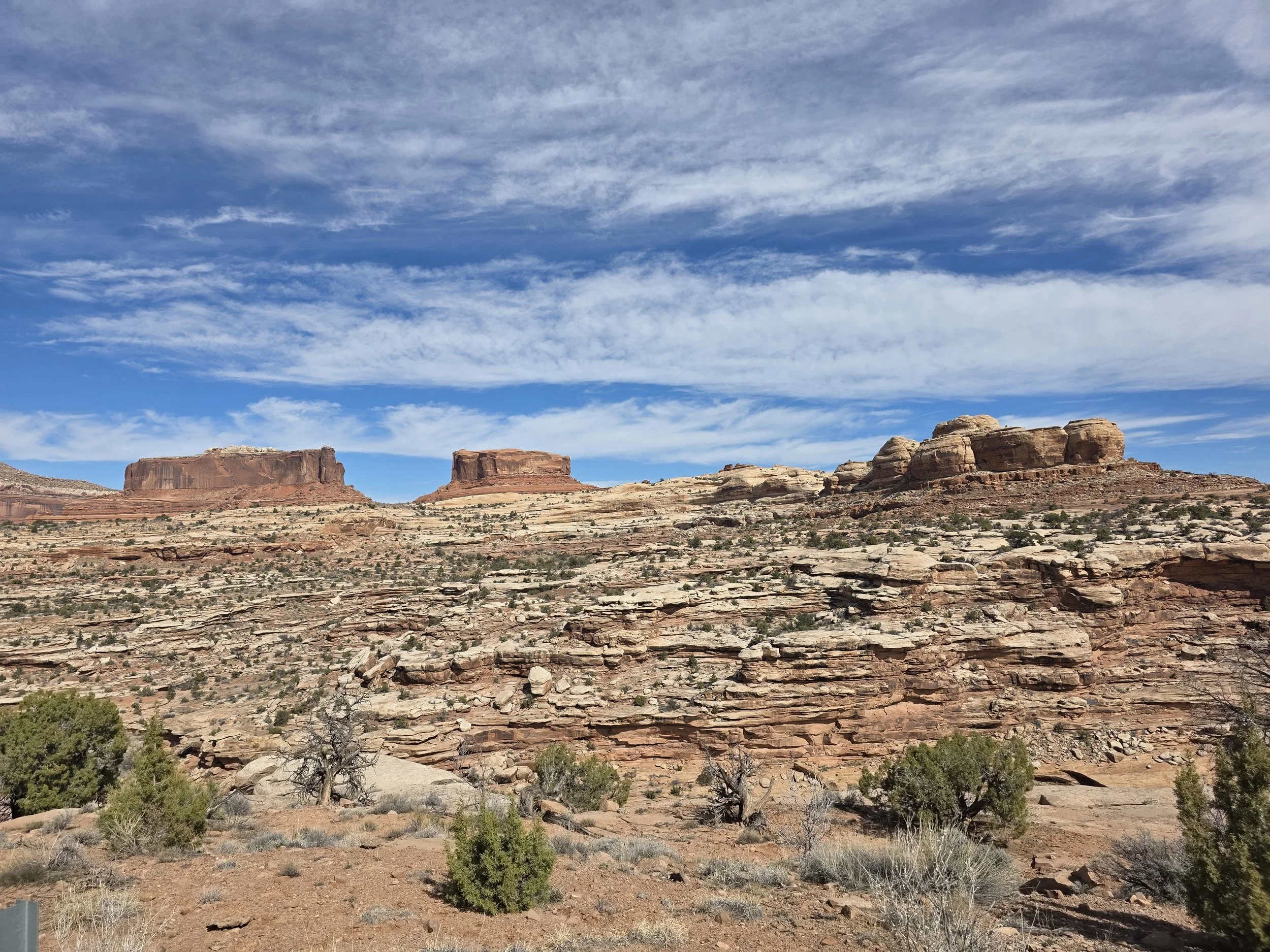 20260314_115201 Jared Jones.jpg