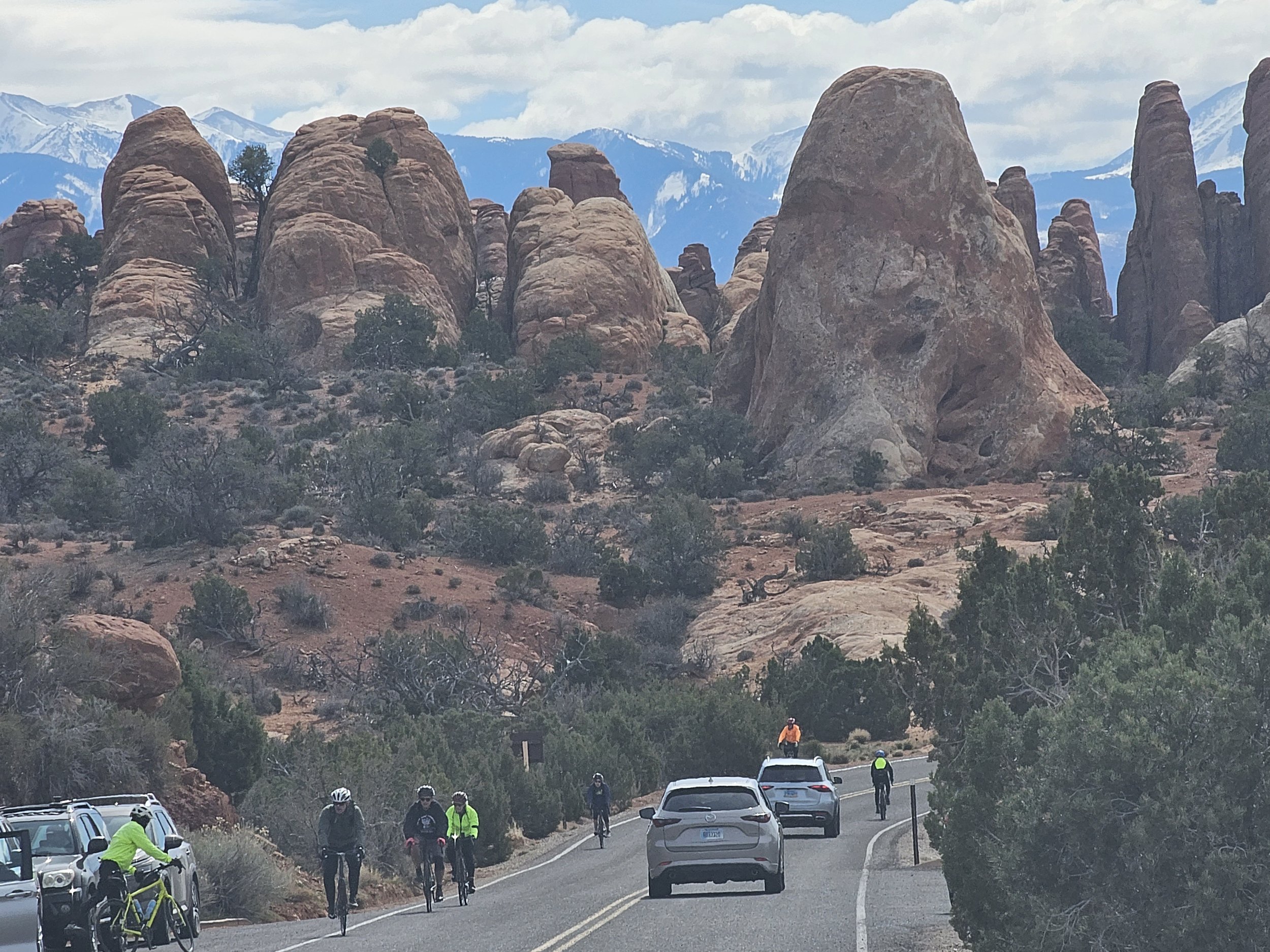 20260316_114701 Susan Powell.jpg