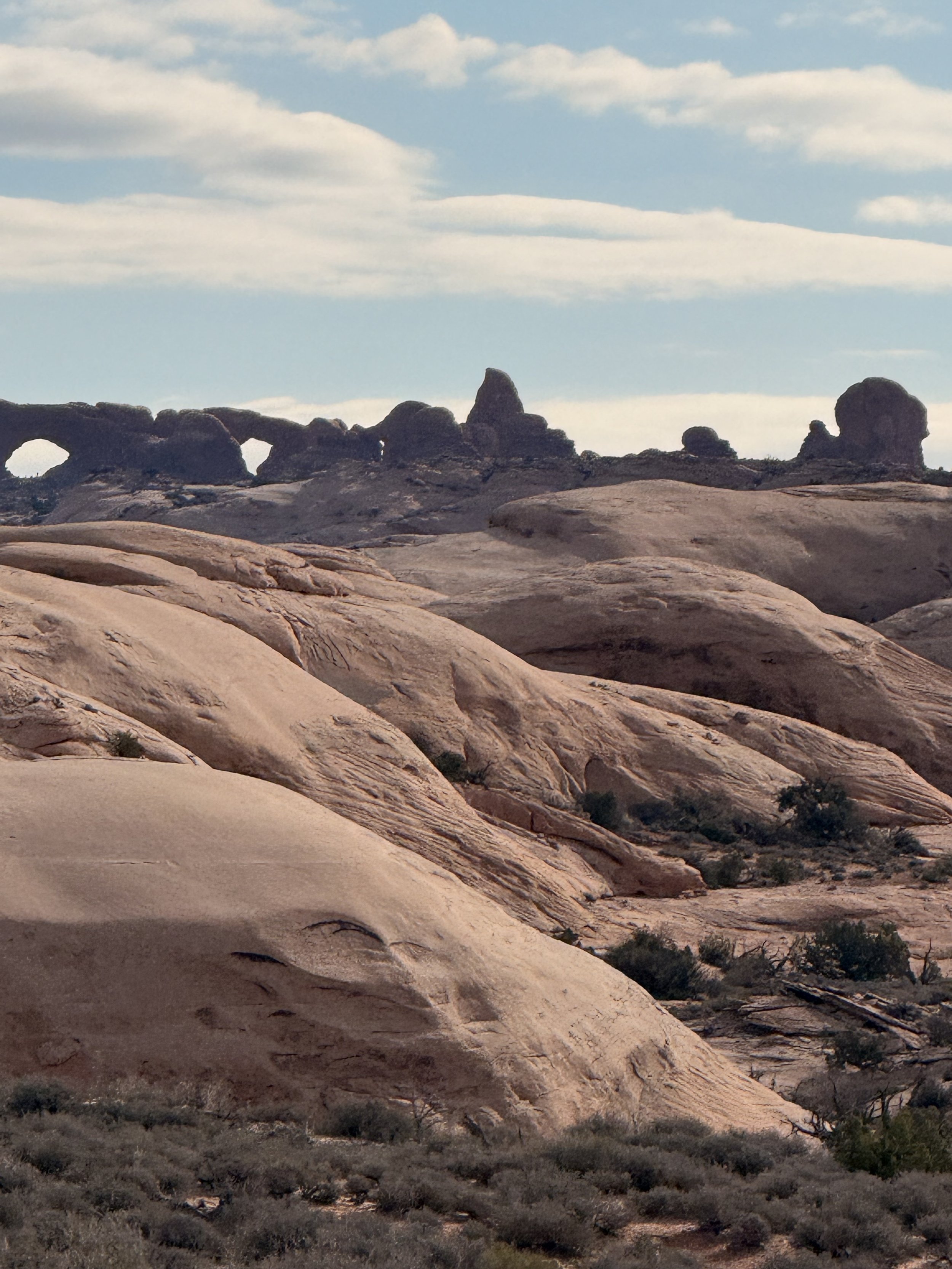 IMG_0573 Luke Peterson.jpeg