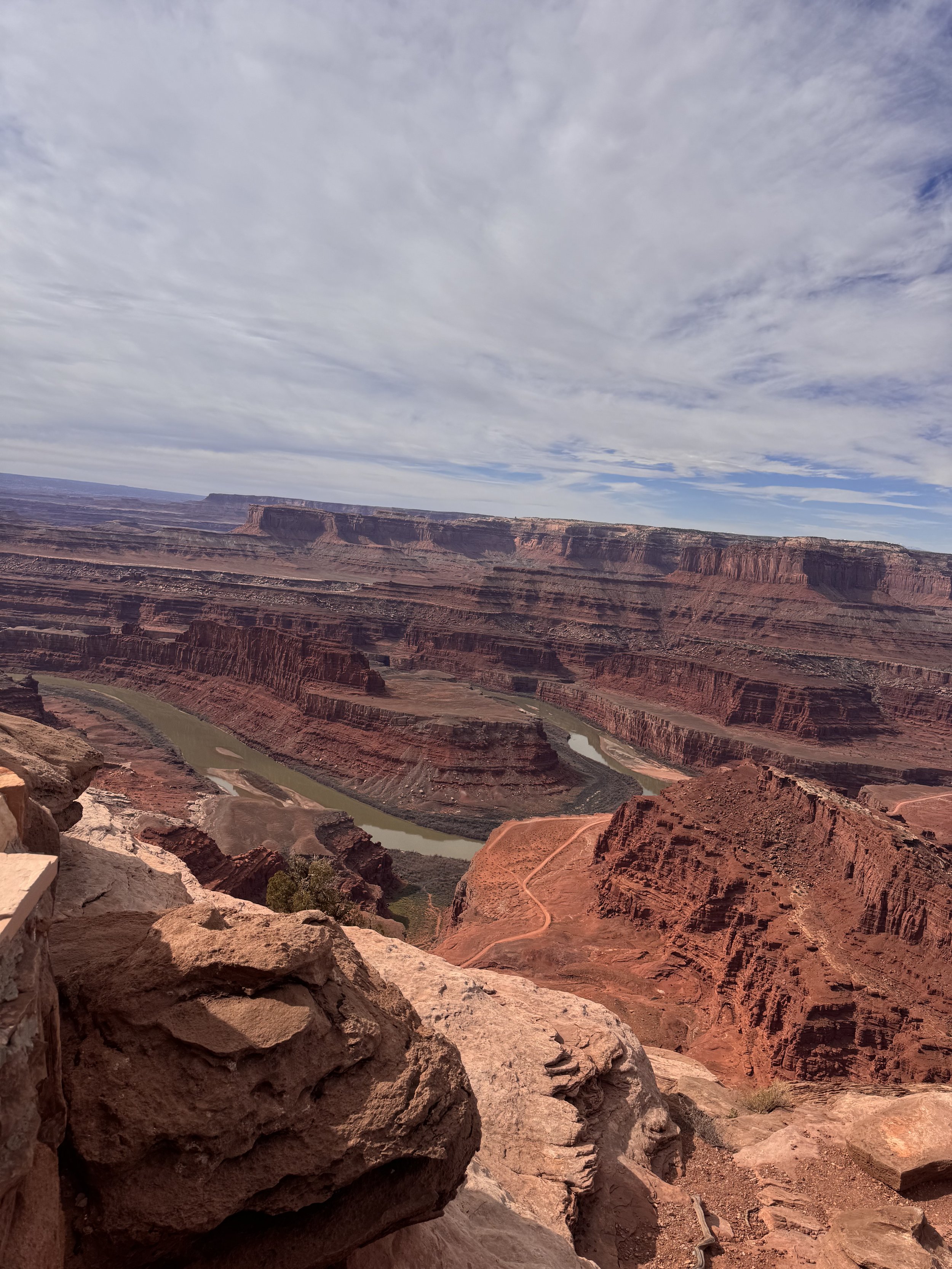 IMG_0446 Shannon Koeplin.jpeg