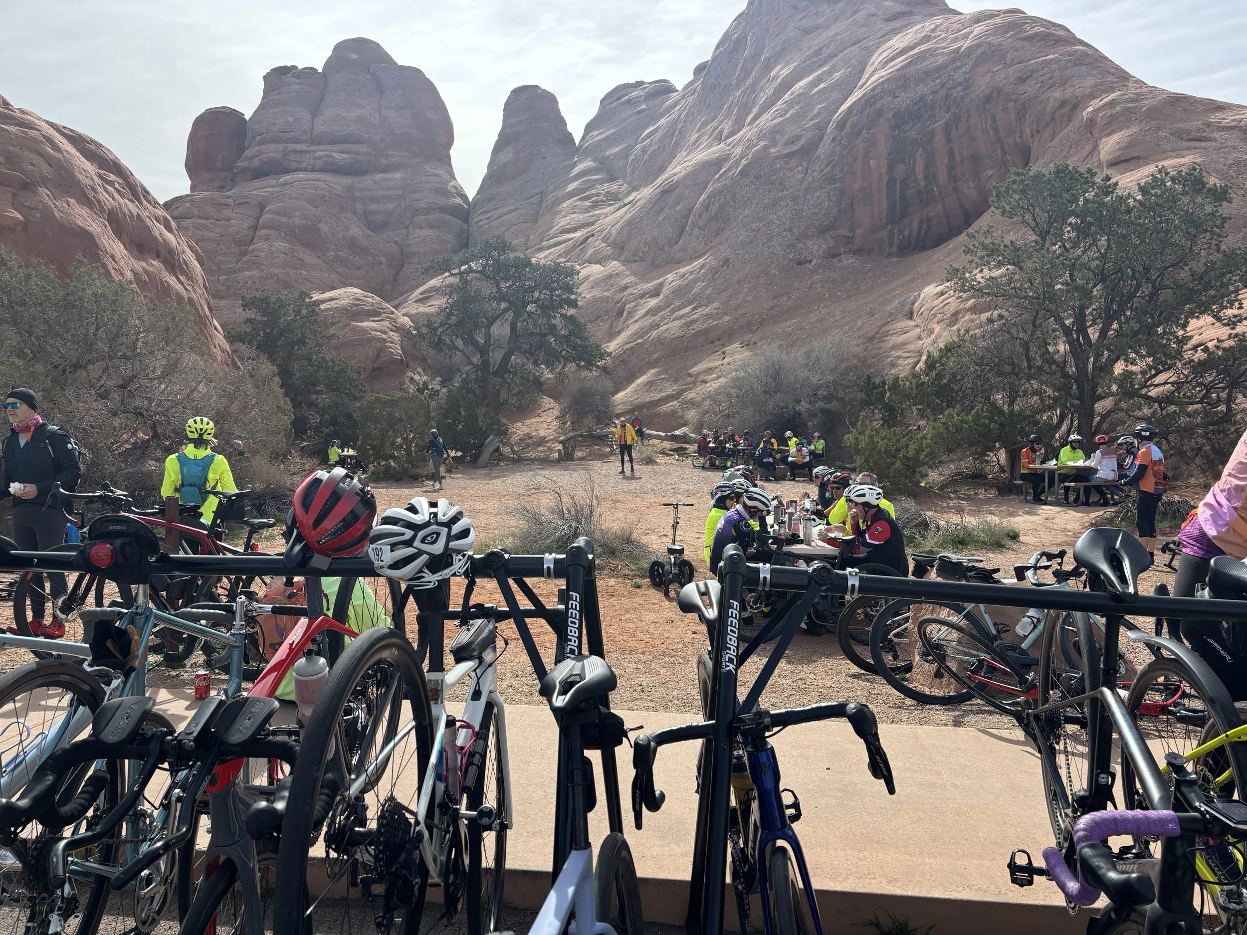 IMG_2398 Jan Tarr.jpeg