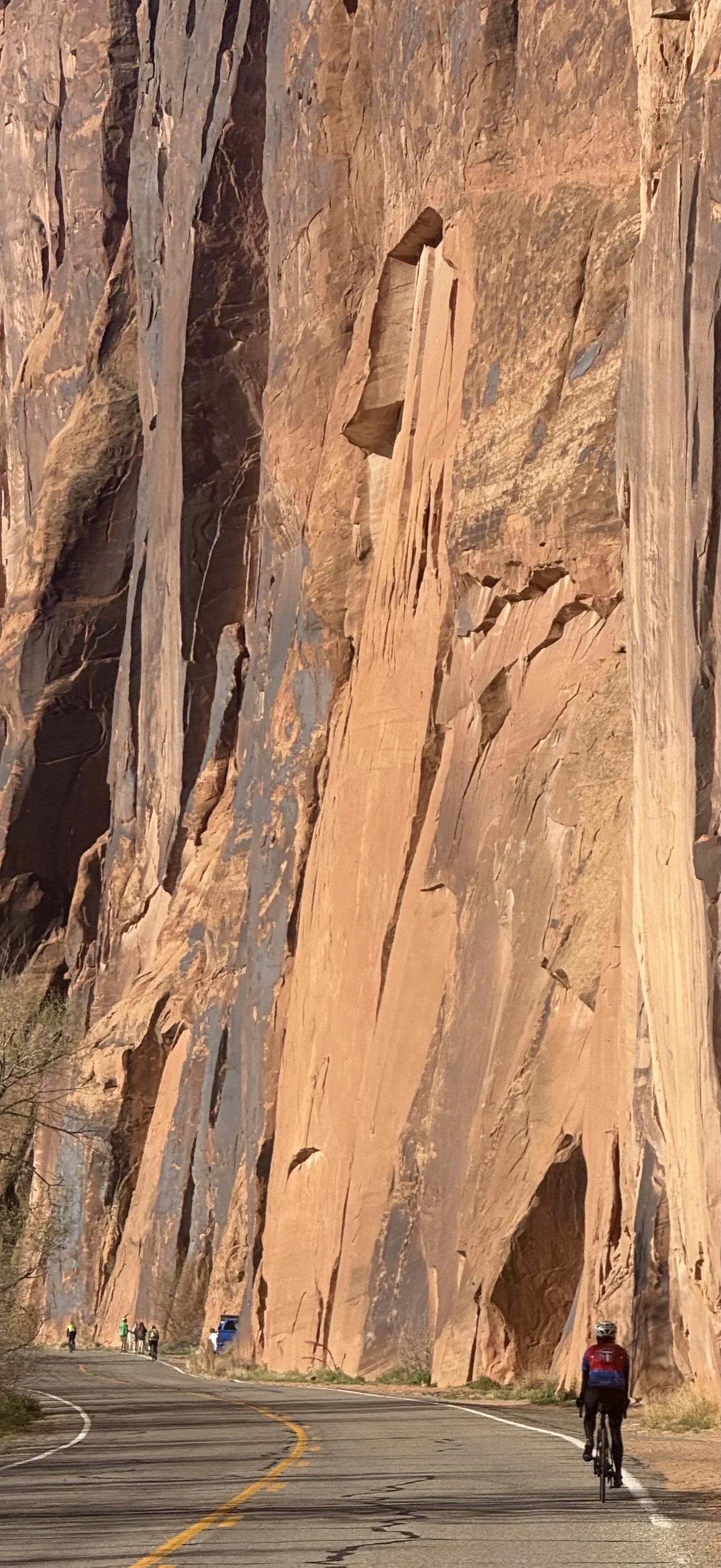 IMG_6528 Derek Wall.jpeg