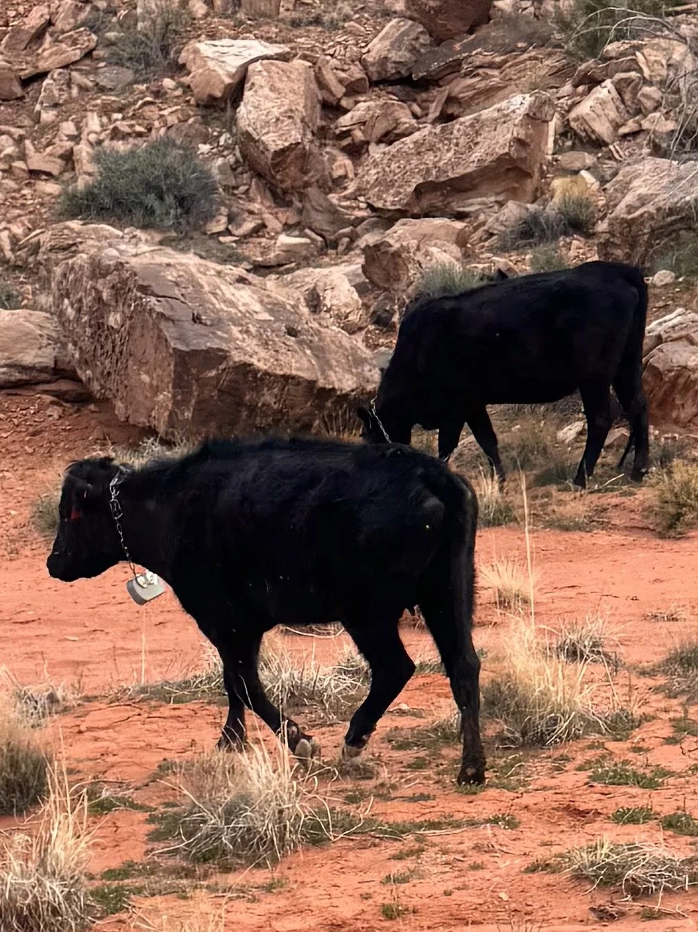 IMG_6710 Holly Langton.jpeg