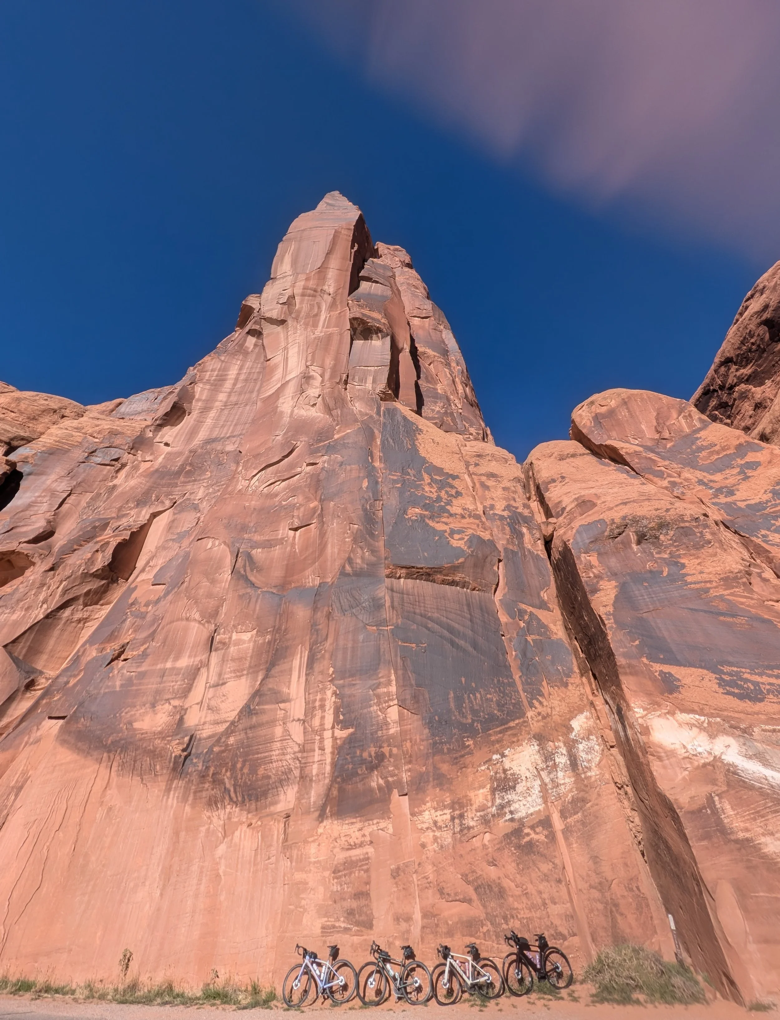 PXL_20260317_155119251 Molly Arevalo.jpg