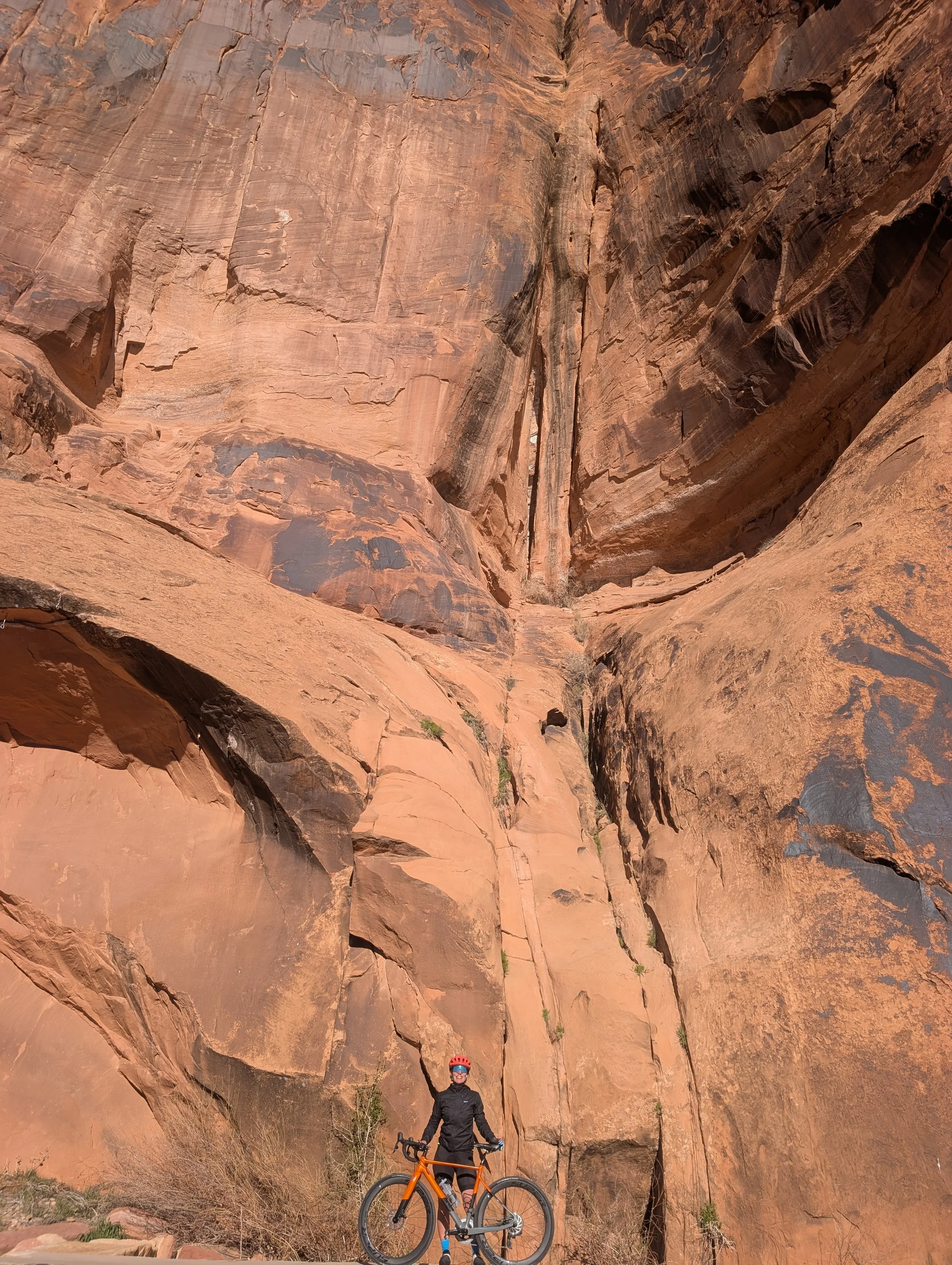 PXL_20260317_154601424.MP Molly Arevalo.jpg