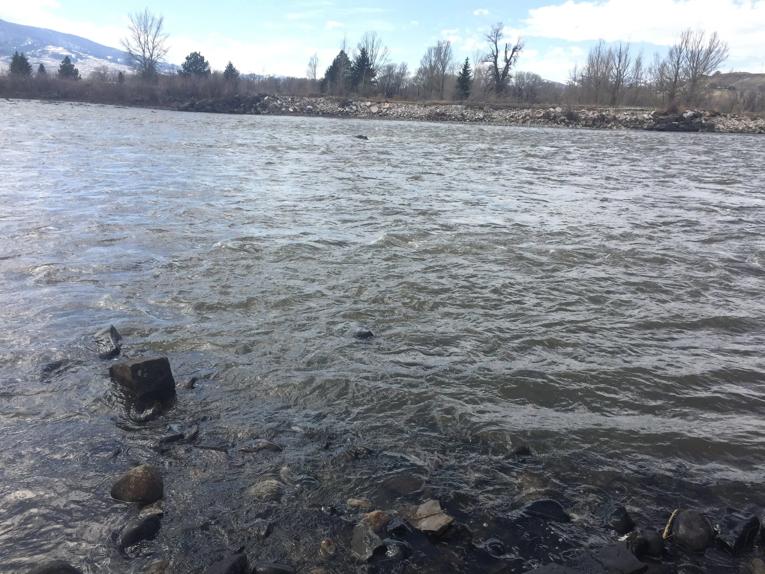 4/22/2018 at 4:00 in Livingston.